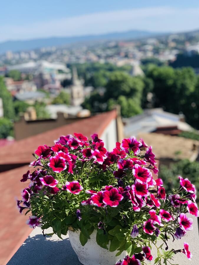 Отель Betlemi Old Town Hotel Тбилиси-6