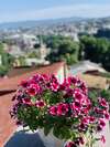 Отель Betlemi Old Town Hotel Тбилиси-2